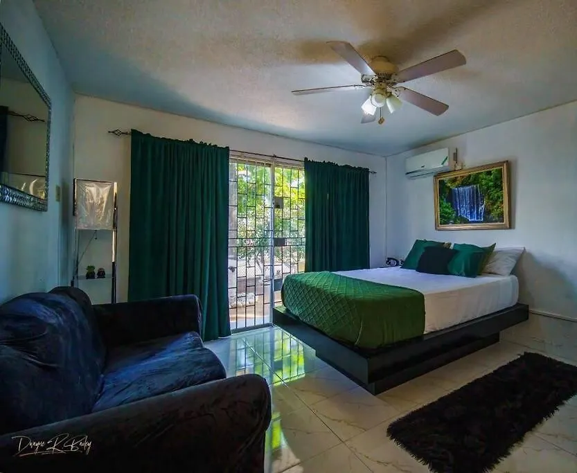 Fiwi-Own Chelsea Manor, Kingston Apartment 0*,