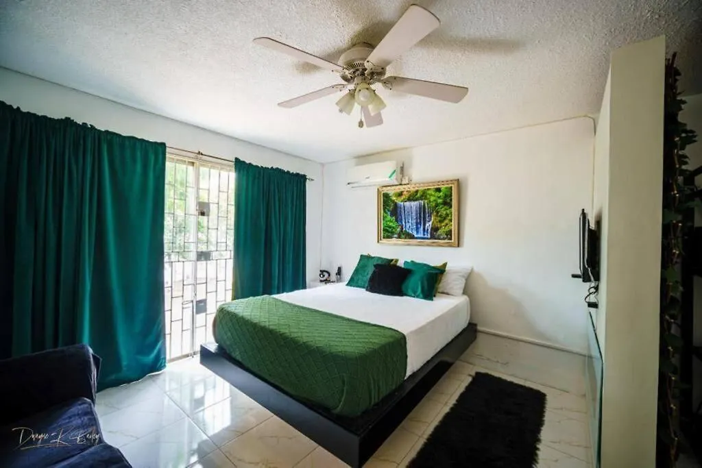 Fiwi-Own Chelsea Manor, Kingston Διαμέρισμα